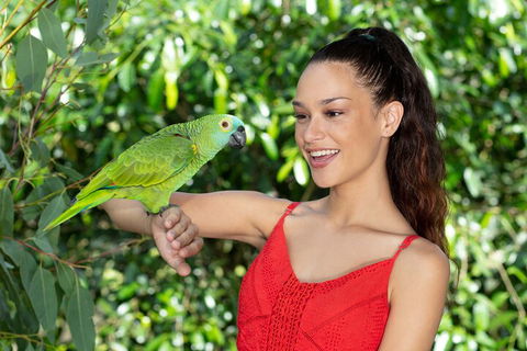 Kuranda Wildlife Experience Three Attraction Pass - Sydney Tourism 1