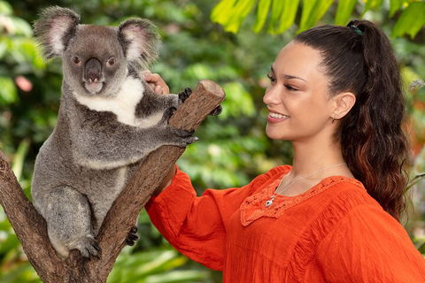 Kuranda Wildlife Experience Three Attraction Pass - Sydney Tourism 4