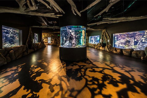 Cairns Aquarium By Twilight With 3-Course Dinner - Sydney Tourism 3