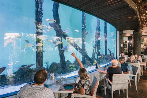 Cairns Aquarium By Twilight With 3-Course Dinner - Sydney Tourism 4