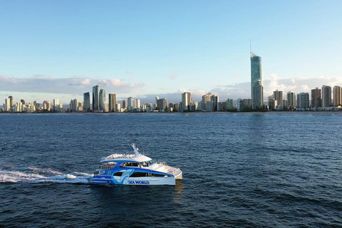 Whale Watching By Sea World Cruises - Sydney Tourism 1