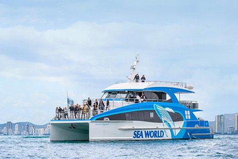 Whale Watching By Sea World Cruises - Sydney Tourism 3