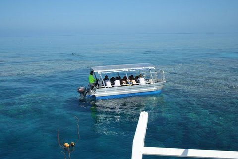 Seastar Luxury Outer Great Barrier Reef Island And Reef Tour From Cairns - Sydney Tourism 5