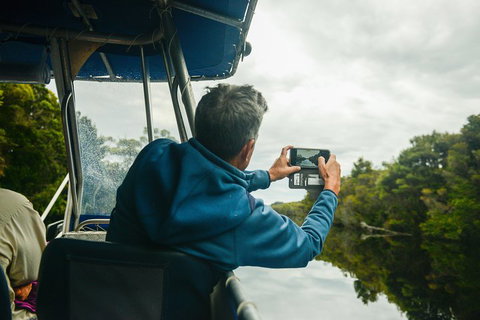 Southwest Tasmania Wilderness Experience: Fly Cruise And Walk Including Lunch - Sydney Tourism 4