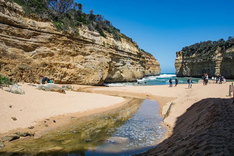 Great Ocean Road And 12 Apostles Day Trip From Melbourne - Sydney Tourism 2