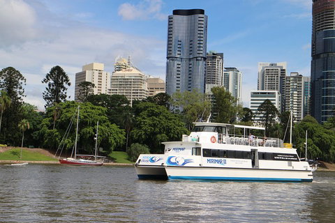 Lone Pine Koala Sanctuary Admission With Brisbane River Cruise - Sydney Tourism 2