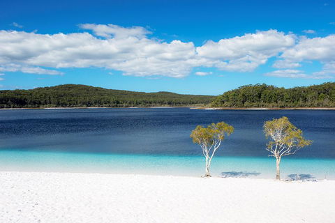 All-Inclusive Fraser Island Day Tour - Sydney Tourism 3
