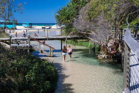 All-Inclusive Fraser Island Day Tour - Sydney Tourism 4