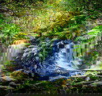 Day Tour in Mt. Field Mt. Wellington Bonorong Wildlife Sanctuary and Richmond - Sydney Tourism