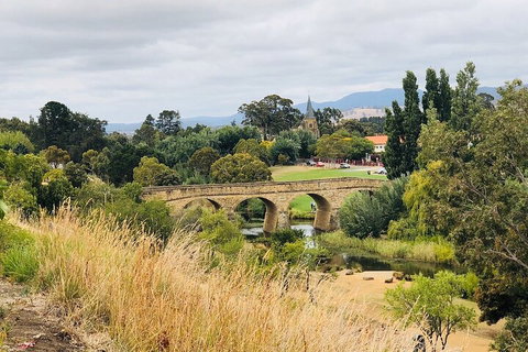 Day Tour In Mt. Field, Mt. Wellington, Bonorong Wildlife Sanctuary And Richmond - Sydney Tourism 3