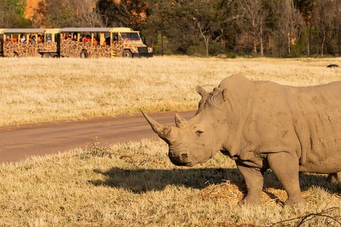 Sunset Safari At Werribee Open Range Zoo - Sydney Tourism 1
