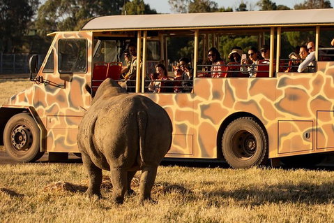 Sunset Safari At Werribee Open Range Zoo - Sydney Tourism 5