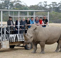 Off-Road Safari at Werribee Open Range Zoo - Sydney Tourism