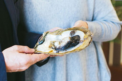 Half-Day Willie Creek Pearl Farm Tour With Helicopter Flight - Sydney Tourism 3