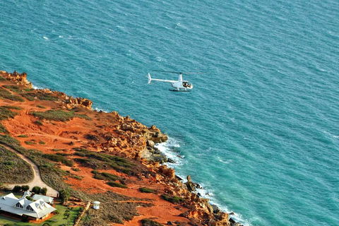 Half-Day Willie Creek Pearl Farm Tour With Helicopter Flight - Sydney Tourism 4