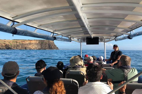 Julian Rocks Byron Bay Cruise - Sydney Tourism 4