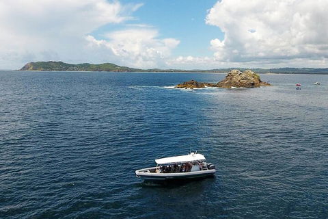 Julian Rocks Byron Bay Cruise - Sydney Tourism 5