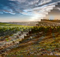 Perth to Margaret River Wine Tour - 2 Day Premium Boutique Wine Tour Experience - Sydney Tourism