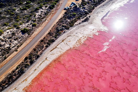 7-Day Exmouth Explorer Via Pinnacles Monkey Mia Ningaloo Reef Returning To Perth - Sydney Tourism 0