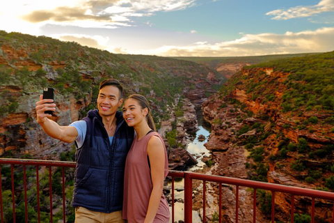 7-Day Exmouth Explorer Via Pinnacles Monkey Mia Ningaloo Reef Returning To Perth - Sydney Tourism 5