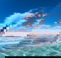 4-Day Coastal Loop via Monkey Mia Wild Dolphins Kalbarri Pinnacles Perth Return - Sydney Tourism