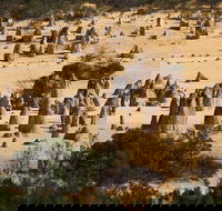 Pinnacles Sunset Dinner and Stargazing Experience a Small Group Tour - Sydney Tourism