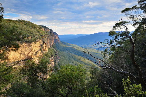 Sunset Blue Mountains Wilderness & Wildlife Tour Without The Crowds - Sydney Tourism 2