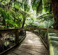 12 Apostles Eco-Friendly Great Ocean Road Iconic Adventure from Melbourne - Sydney Tourism