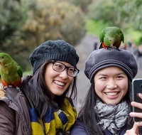 Small-Group Great Ocean Road and 12 Apostles Full-Day Tour from Melbourne - Sydney Tourism