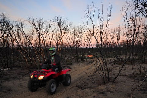 Kangaroo Island Quad Bike (ATV) Tours - Sydney Tourism 1