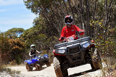Kangaroo Island Quad Bike (ATV) Tours - Sydney Tourism 5