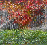 Margaret River Private Tour - Sydney Tourism