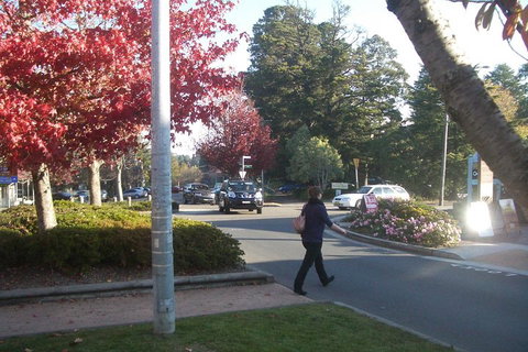 PRIVATE All-Day Blue Mountains Tour With Professional Guide For Up To 4 People - Sydney Tourism 1