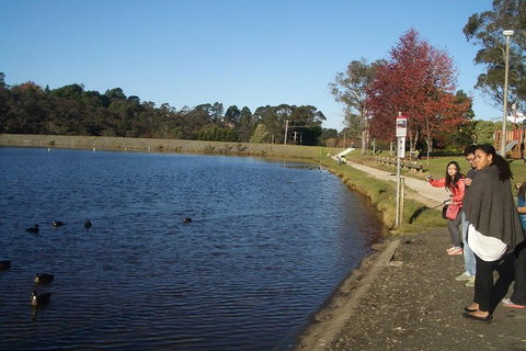 PRIVATE All-Day Blue Mountains Tour With Professional Guide For Up To 4 People - Sydney Tourism 2