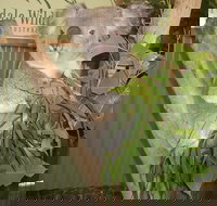 Blue Mountains Private Full-Day Tour from Sydney with Cruise - Sydney Tourism