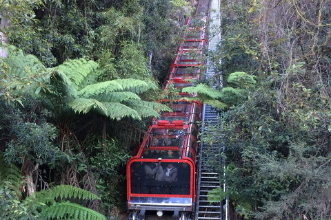 Blue Mountains Private Full-Day Tour From Sydney With Cruise - Sydney Tourism 5