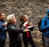 History  Donuts Walking Tour - Sydney Tourism