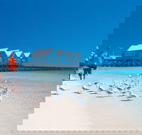 Margaret River and Geographe Bay Region Day Trip from Perth - Sydney Tourism