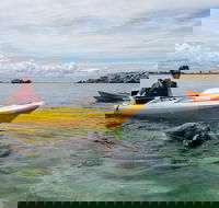 Seal Island and Penguin Island or Point Peron Sea Kayak Tour - Sydney Tourism