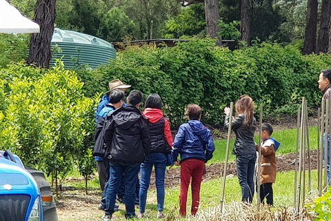 Dandenong Ranges And Rayners Orchard Tour From Melbourne - Sydney Tourism 4