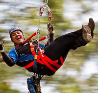 12 Apostles and Otway Fly Zipline Day Trip from Melbourne - Sydney Tourism