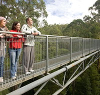 Adventure Sunset Three Day Great Ocean Road Tour - Sydney Tourism