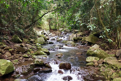 Exclusive Private Tour - Design Your Own - Sydney Tourism 1