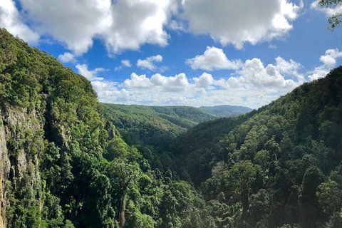 Exclusive Private Tour - Design Your Own - Sydney Tourism 3