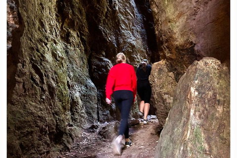 Exclusive Private Tour - Design Your Own - Sydney Tourism 4