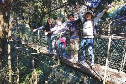 Exclusive Private Tour - Design Your Own - Sydney Tourism 5