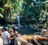 Aquaduck  Your choice of Gold Coast Rainforest Tour