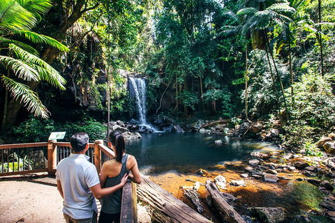 Aquaduck & Your Choice Of Gold Coast Rainforest Tour - Sydney Tourism 0