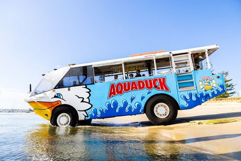 Aquaduck & Your Choice Of Gold Coast Rainforest Tour - Sydney Tourism 3