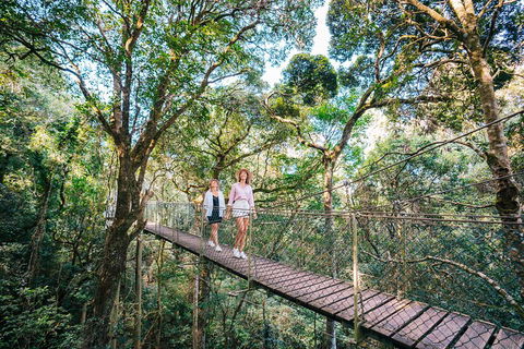 Aquaduck & Your Choice Of Gold Coast Rainforest Tour - Sydney Tourism 4